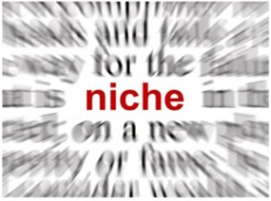 niche v reach